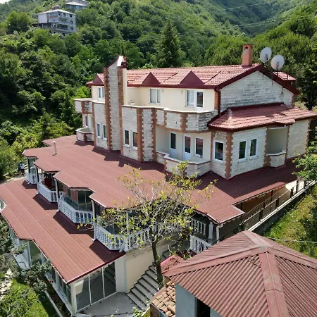 Marin Villa